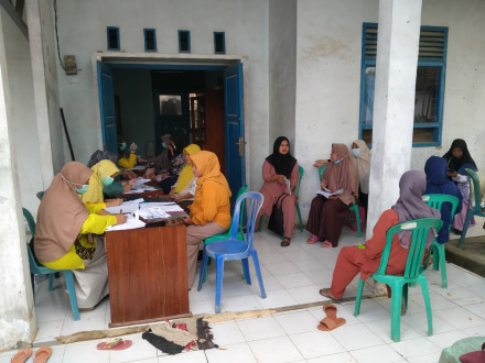 Pemeriksaan Ibu Hamil